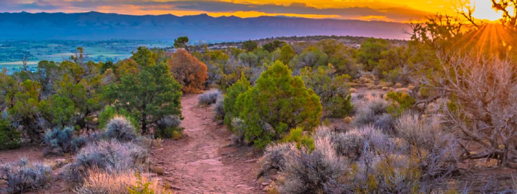 CDT-Lymphedema grand junction